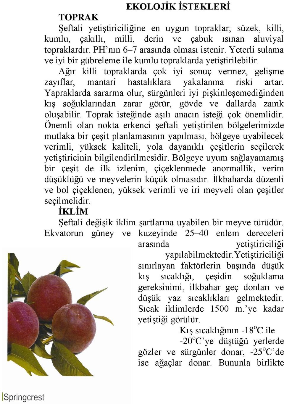 Yapraklarda sararma olur, sürgünleri iyi pişkinleşemediğinden kış soğuklarından zarar görür, gövde ve dallarda zamk oluşabilir. Toprak isteğinde aşılı anacın isteği çok önemlidir.