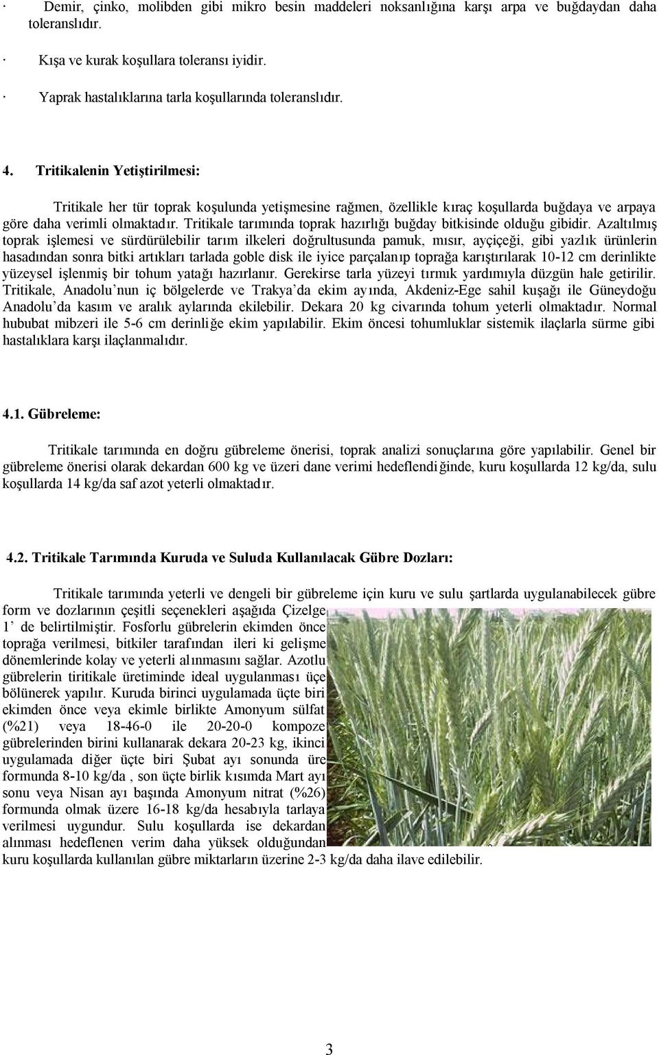 Tritikalenin Yetiştirilmesi: Tritikale her tür toprak koşulunda yetişmesine rağmen, özellikle kıraç koşullarda buğdaya ve arpaya göre daha verimli olmaktadır.