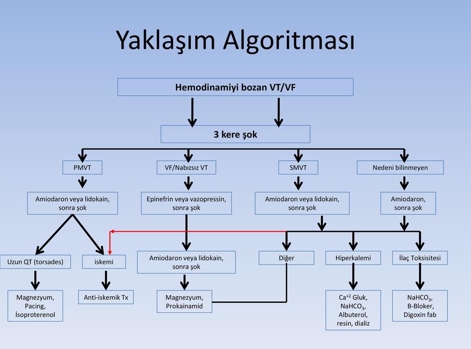 QT (torsades) iskemi Amiodaron veya lidokain, sonra şok Diğer Hiperkalemi İlaç Toksisitesi Magnezyum, Pacing,