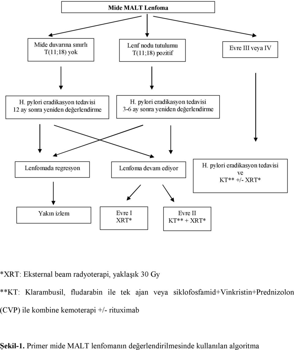 pylori eradikasyon tedavisi 3-6 ay sonra yeniden değerlendirme Lenfomada regresyon Lenfoma devam ediyor H.