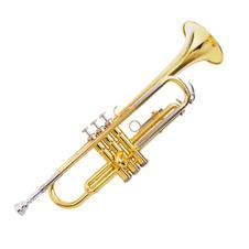 Şekil 2.4: Ses alanları Orkestrada kullanılan pirinç çalgılar trompet ve trombon, Fransız kornosu ve tubadır. 2.4.1. Trompet ve Trombon Trompet Alaşımlı ağızlıklı soluklu bir çalgıdır.