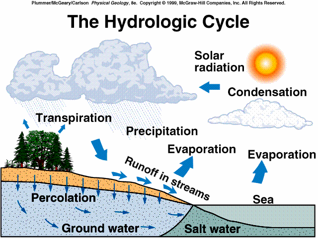Hidrolojik döngü Güneş Enerjisi yoğunlaşma Terleme yağış Yüzey