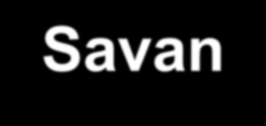 Savan