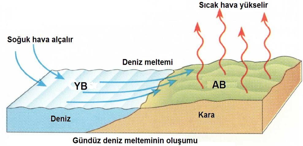 Deniz