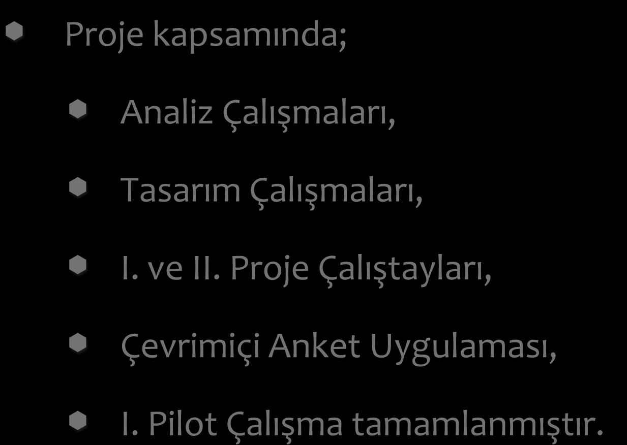 Gerçekleştirilen Çalışmalar Proje kapsamında; Analiz Çalışmaları, Tasarım Çalışmaları, I.