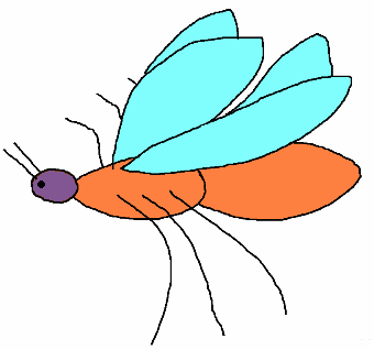 Böcekler: Vücutları, baş, göğüs ve karın olmak üzere 3 segmentten oluşmuştur. Göğüs bölümünden üç çift bacak çıkar. Genellikle göğüs bölümünden 2 çift kanat çıkar.