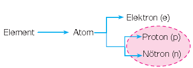 Atomu oluşturan parçacıklar farklı yüklere sahiptir. Farklı yüke sahip bu parçacıklar birbirini etkileyerek bir arada bulunur ve atomu oluşturur.