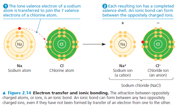 İyonik bağlar; burada atomlardan biri elektron kaybeder ve (+) yüklenir.