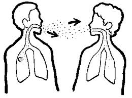 TÜBERKÜLOZ Tüberküloz, Mycobacterium tuberculosis mikrobu ile oluşan bulaşıcı bir hastalıktır. Kişiden kişiye solunum yoluyla bulaşir.