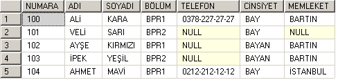 NOT: SQL de varsayılan (DEFAULT) değeri olan alanlar için herhangi bir veri belirtilmezse; o kayıt için o alanların varsayılan değerleri geçerli olacaktır.