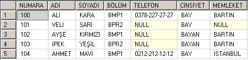 SET ADI = 'SALİH', SOYADI = 'SİYAH' WHERE NUMARA = 100 Aynı anda birden fazla alan beraber güncellenebilir. Yukarıdaki örnekte adı ve soyadı alanları beraber güncellenmiştir.