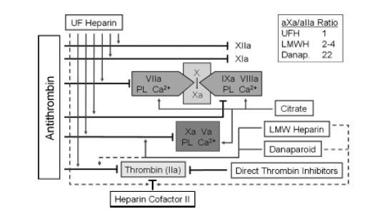 Standart antikoagulasyon Standart heparin (UFH)