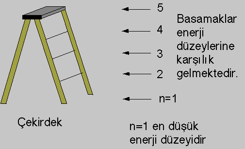 Bohr