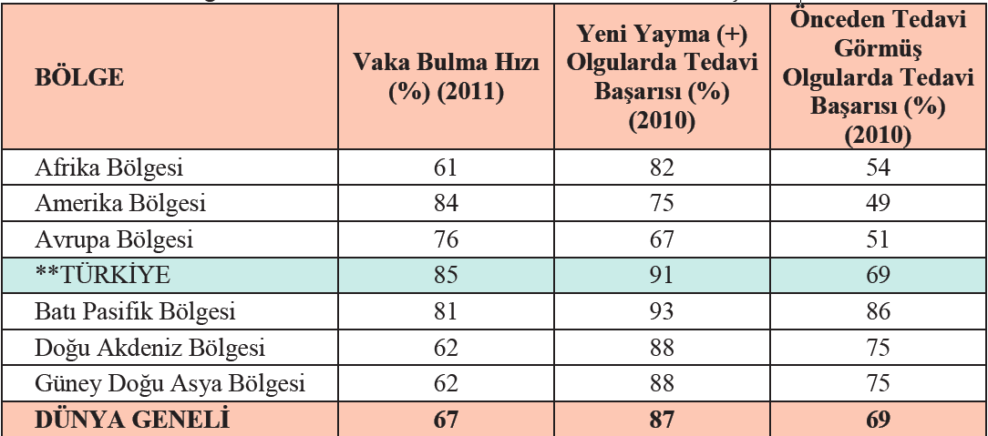 DSÖ Bölgelerine Göre TB Vaka Bulma Hızları ve