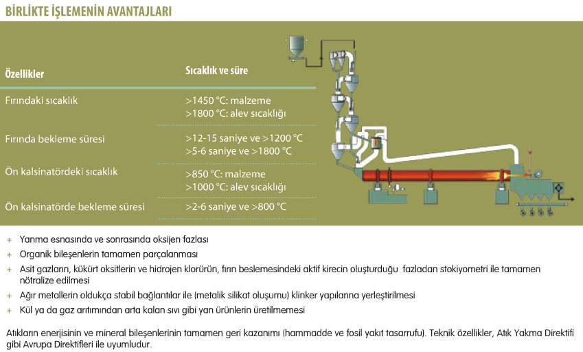 Birlikte