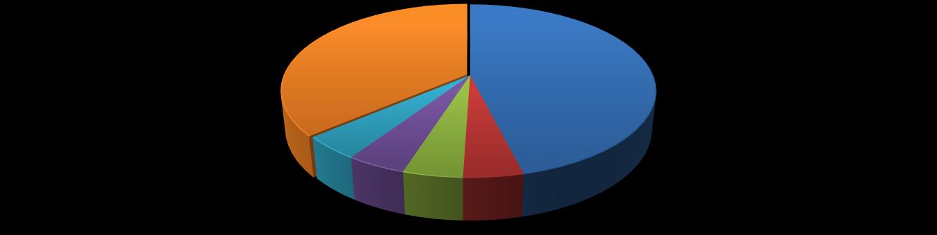 ORTAKLIK YAPISI ADI SOYADI Pay Tutarı (TL) Pay Oranı (%) İsmail Katmerci 11.528.333 46,11 Havva Katmerci 1.100.000 4,40 Mehmet Katmerci 1.100.000 4,40 Ayşe Nur Çobanoğlu 1.100.000 4,40 Furkan Katmerci 1.