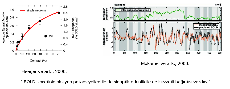 Aksiyon potansiyelleri