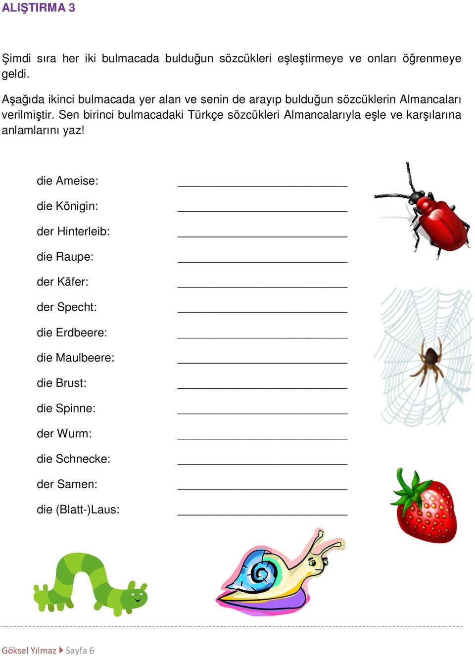 Sen birinci bulmacadaki Türkçe sözcükleri Almancalarıyla eşle ve karşılarına anlamlarını yaz!