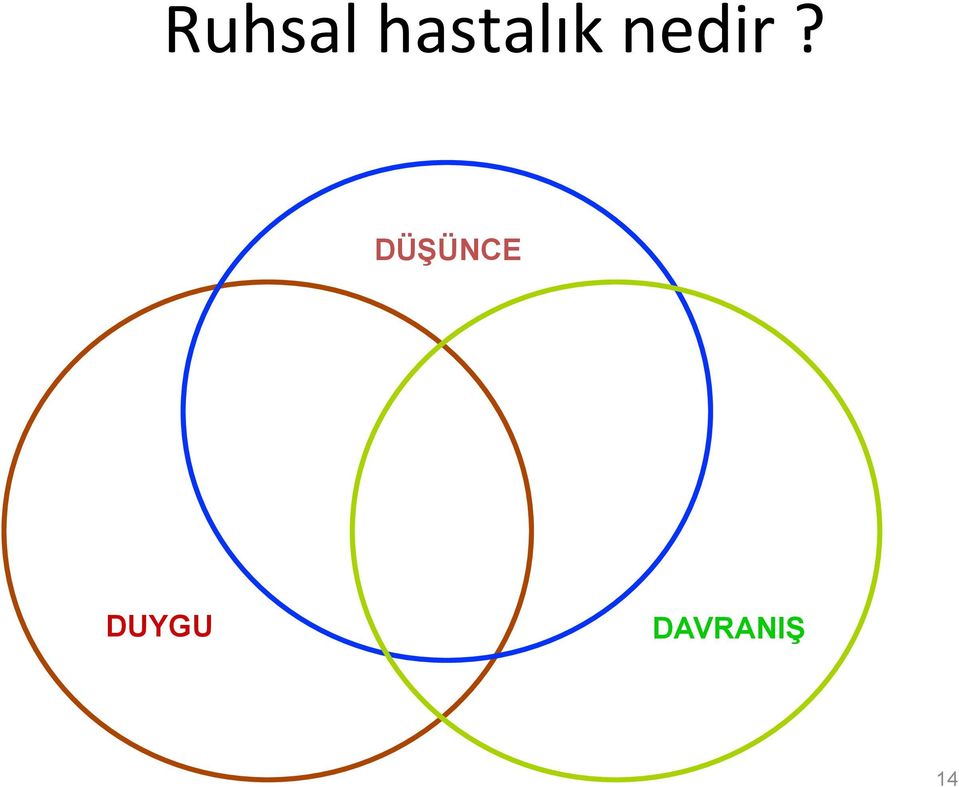 nedir?