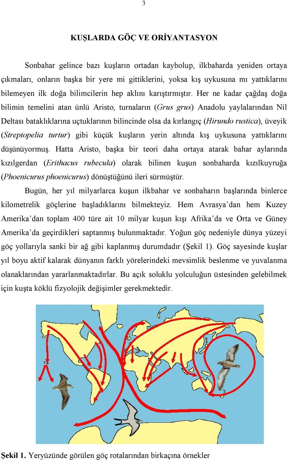 Her ne kadar çağdaş doğa bilimin temelini atan ünlü Aristo, turnaların (Grus grus) Anadolu yaylalarından Nil Deltası bataklıklarına uçtuklarının bilincinde olsa da kırlangıç (Hirundo rustica), üveyik