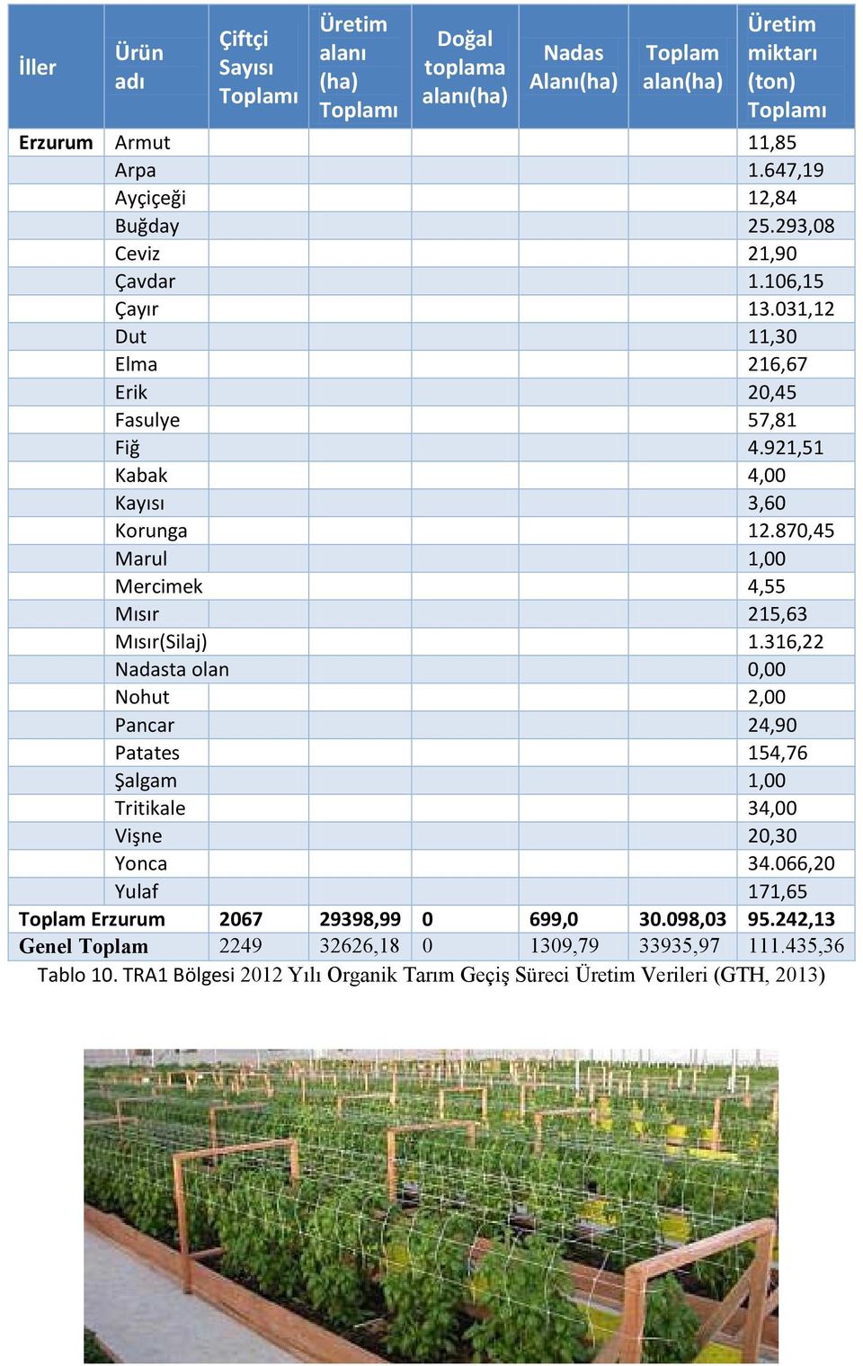 870,45 Marul 1,00 Mercimek 4,55 Mısır 215,63 Mısır(Silaj) 1.316,22 Nadasta olan 0,00 Nohut 2,00 Pancar 24,90 Patates 154,76 Şalgam 1,00 Tritikale 34,00 Vişne 20,30 Yonca 34.