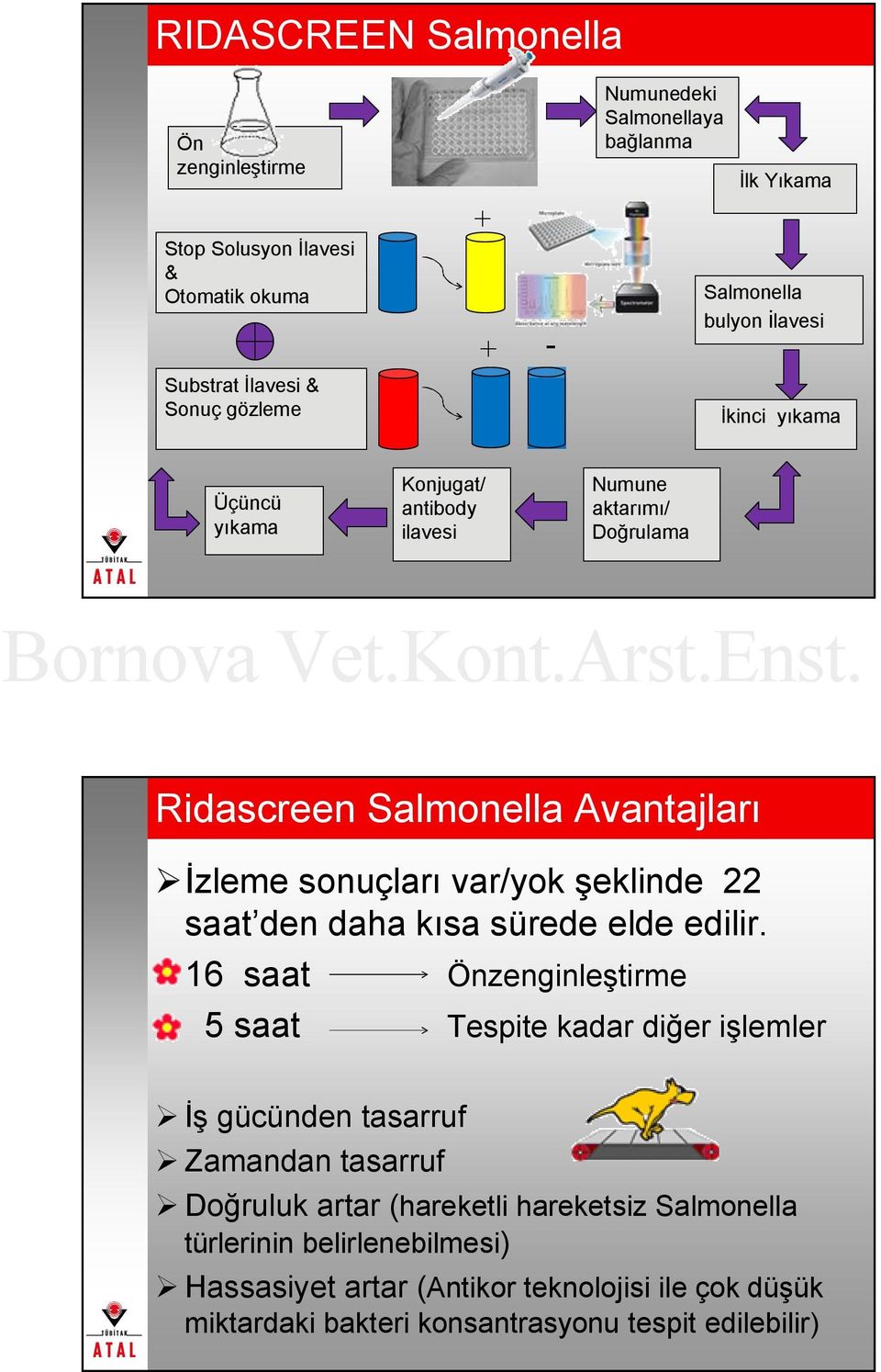 var/yok şeklinde 22 saat den daha kısa sürede elde edilir.