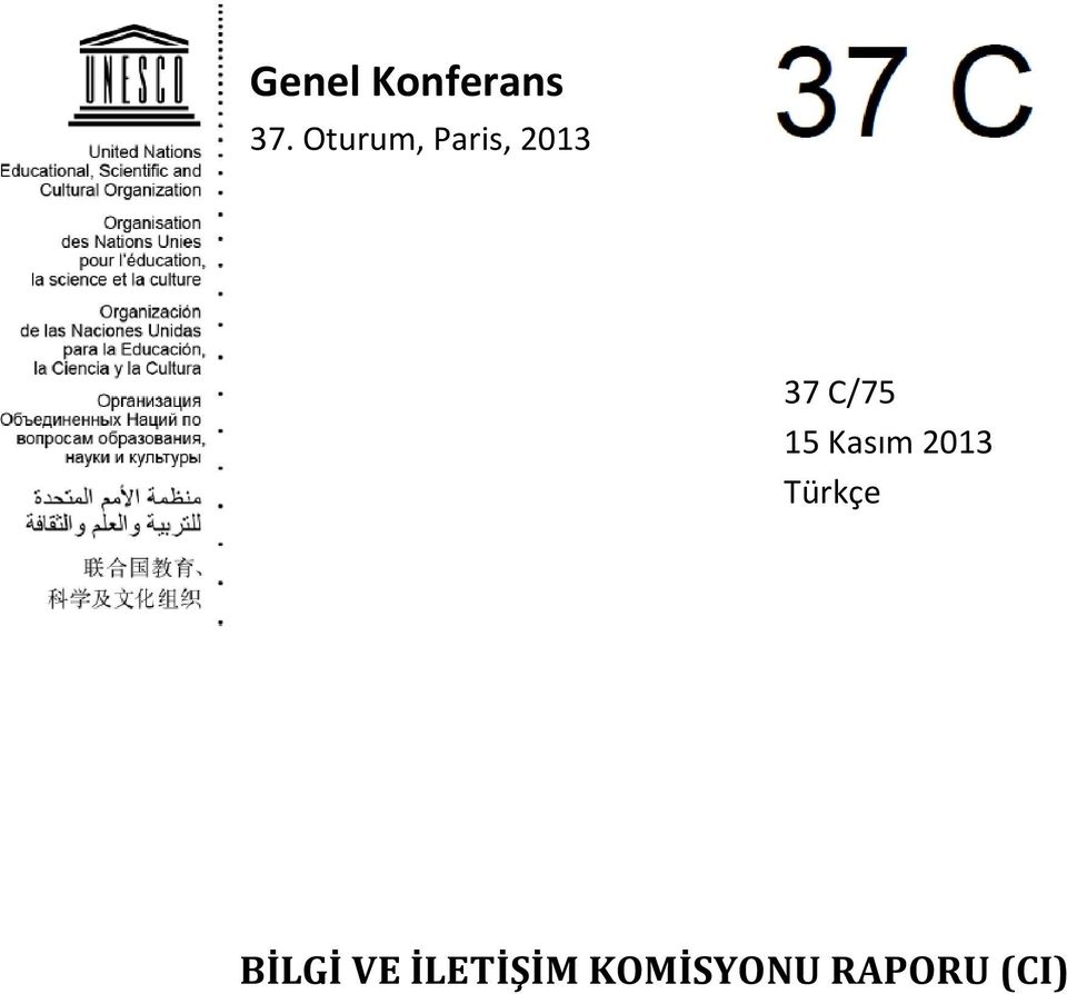 Kasım 2013 Türkçe 37 C/75 15