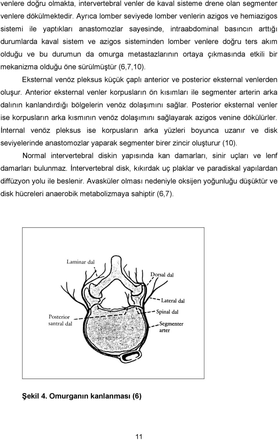 doğru ters akım olduğu ve bu durumun da omurga metastazlarının ortaya çıkmasında etkili bir mekanizma olduğu öne sürülmüştür (6,7,10).