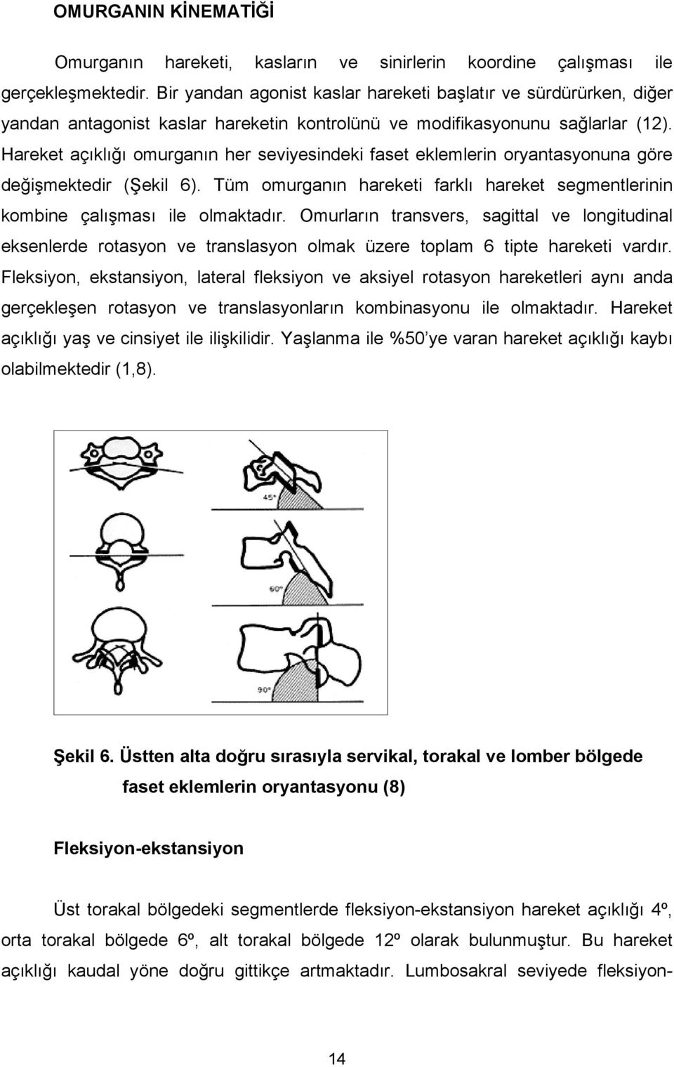 Hareket açıklığı omurganın her seviyesindeki faset eklemlerin oryantasyonuna göre değişmektedir (Şekil 6). Tüm omurganın hareketi farklı hareket segmentlerinin kombine çalışması ile olmaktadır.