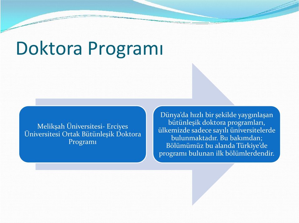 bütünleşik doktora programları, ülkemizde sadece sayılı üniversitelerde