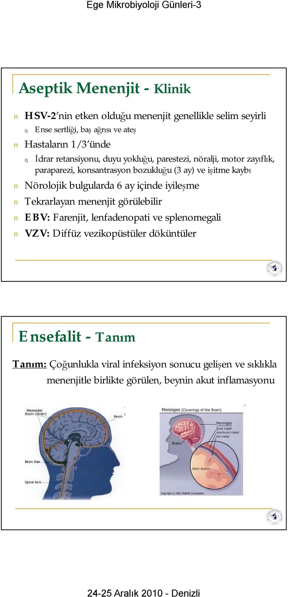 bulgularda 6 ay içinde iyileşme Tekrarlayan menenjit görülebilir EBV: Farenjit, lenfadenopati ve splenomegali VZV: Diffüz vezikopüstüler