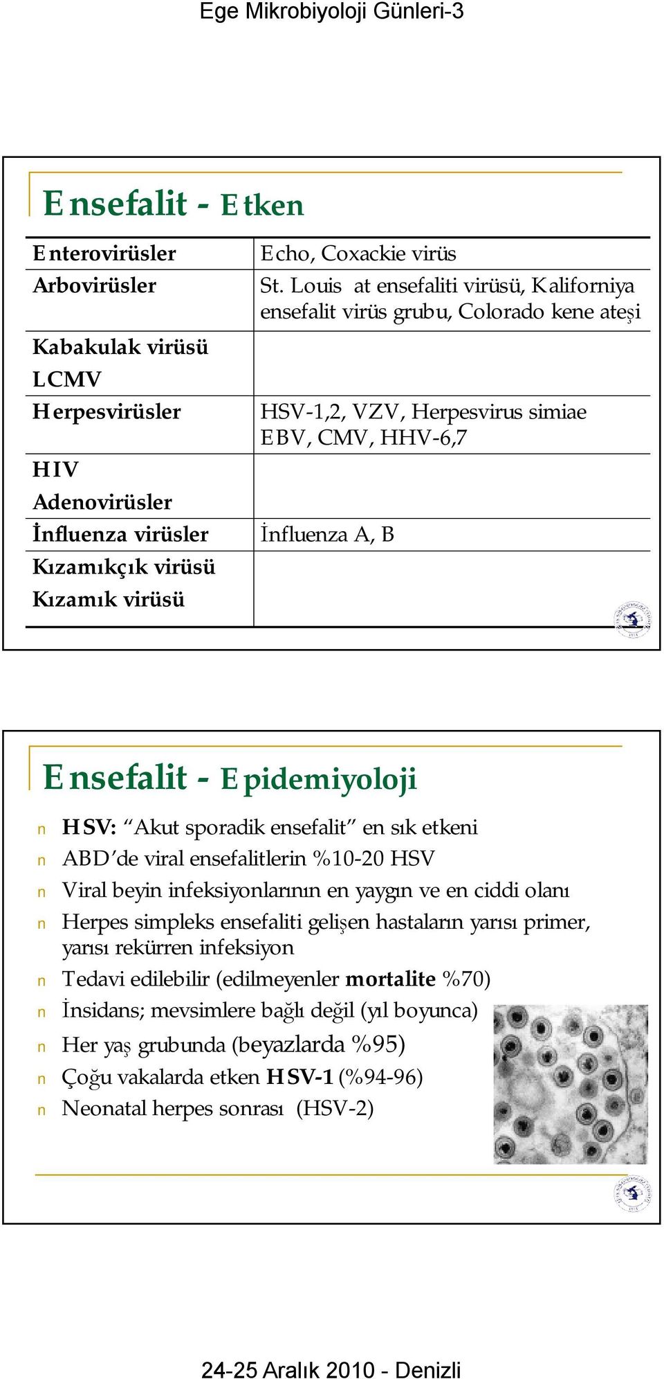 ensefalit en sık etkeni ABD de viral ensefalitlerin %10-20 HSV Viral beyin infeksiyonlarının en yaygın ve en ciddi olanı Herpes simpleks ensefaliti gelişen hastaların yarısı primer, yarısı