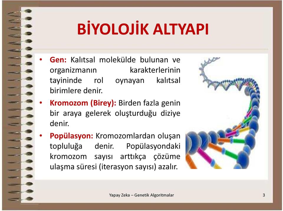 Kromozom (Birey): Birden fazla genin bir araya gelerek oluşturduğu diziye denir.