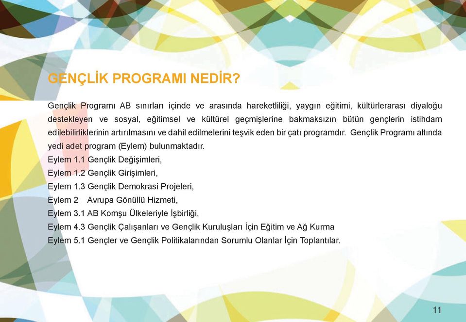 bütün gençlerin istihdam edilebilirliklerinin artırılmasını ve dahil edilmelerini teşvik eden bir çatı programdır.