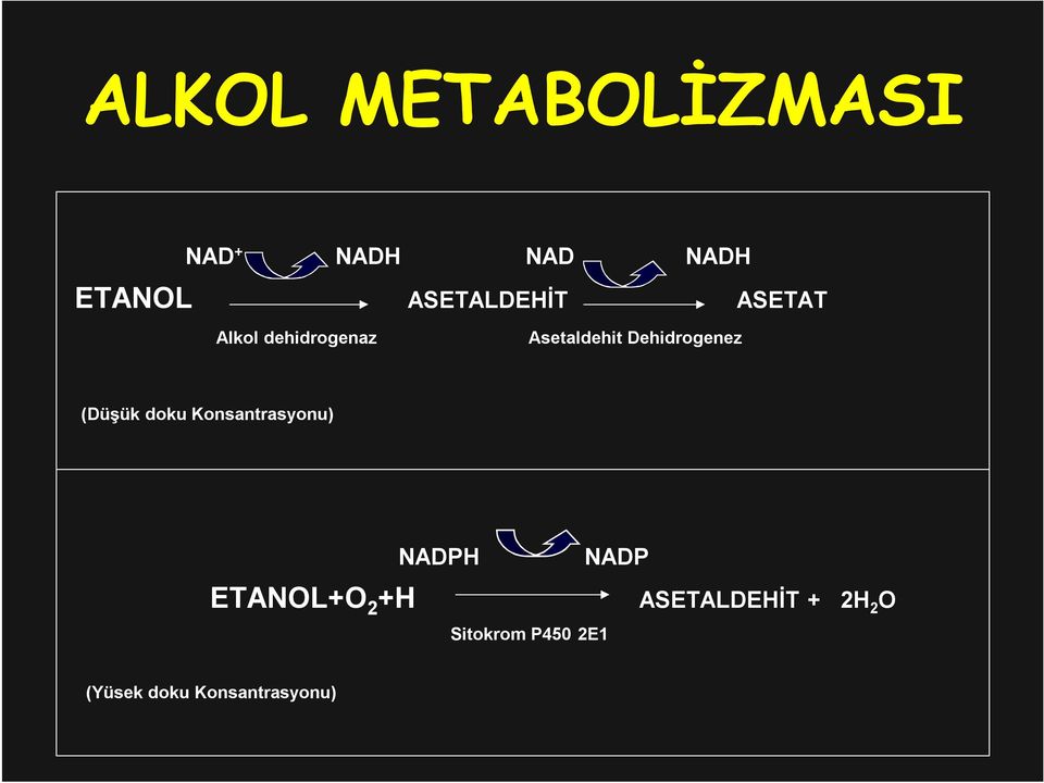 Dehidrogenez (Düşük doku Konsantrasyonu) ETANOL+O 2 +H