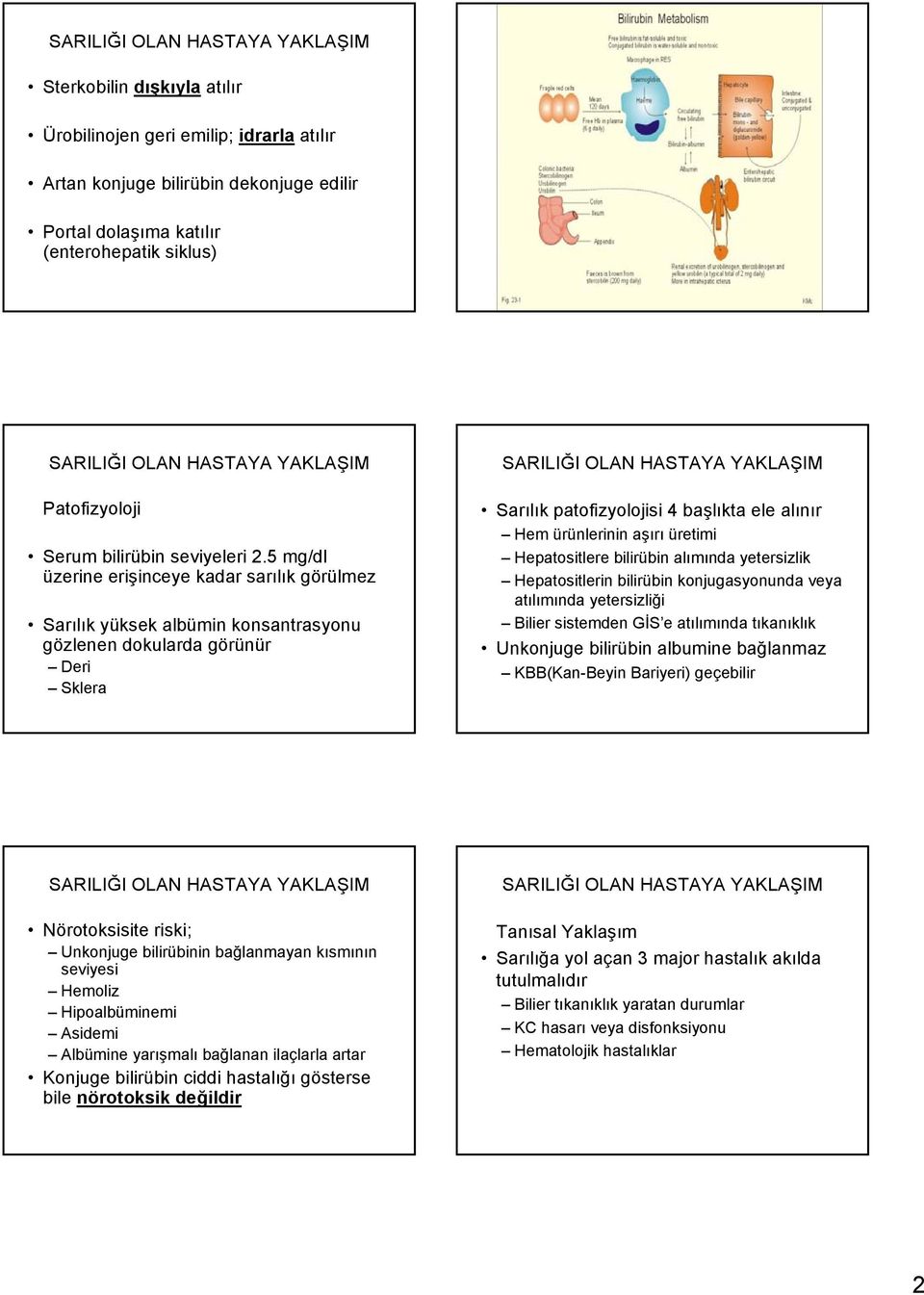 üretimi Hepatositlere bilirübin alımında yetersizlik Hepatositlerin bilirübin konjugasyonunda veya atılımında yetersizliği Bilier sistemden GİS e atılımında tıkanıklık Unkonjuge bilirübin albumine