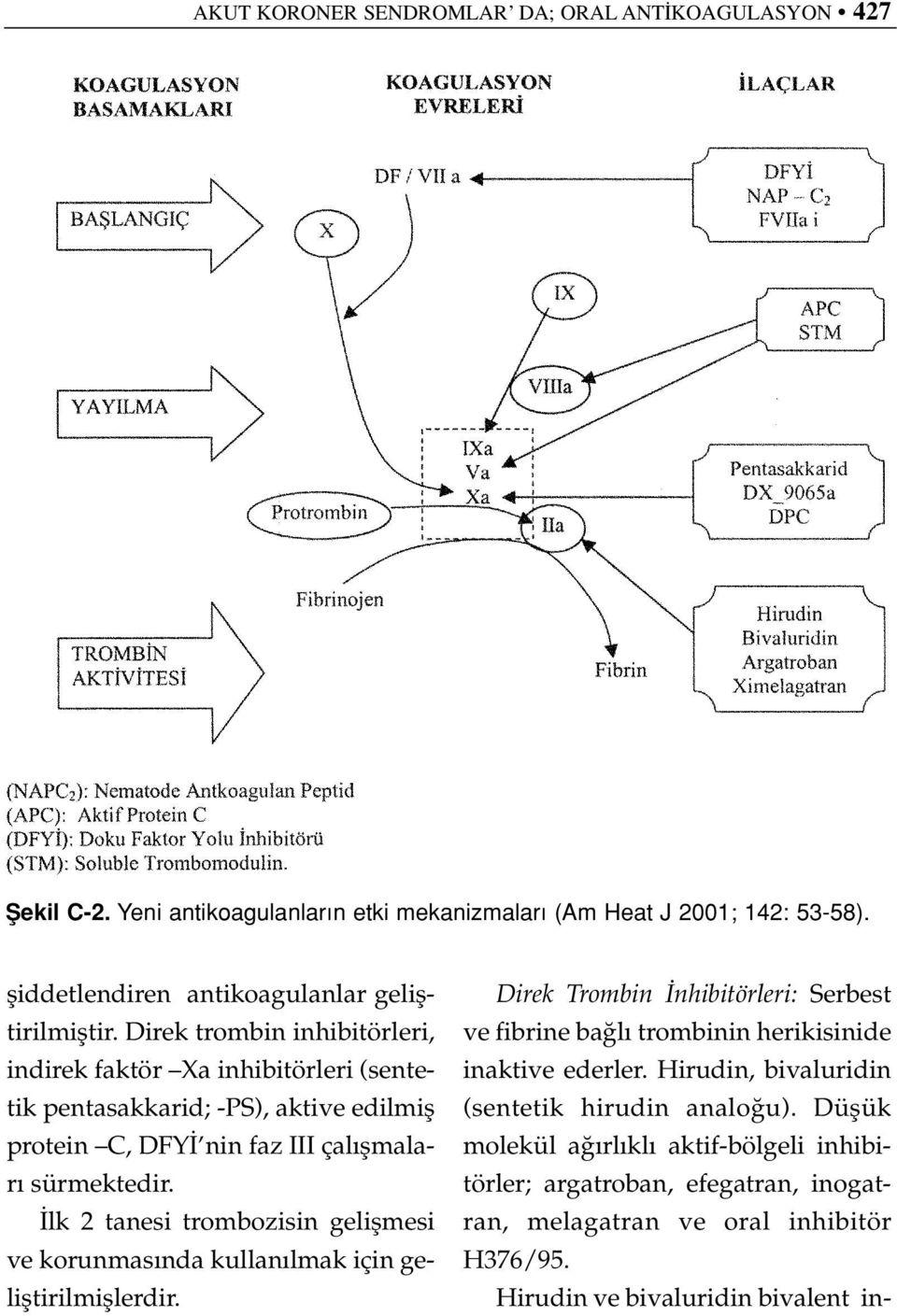 Direk trombin inhibitörleri, indirek faktör Xa inhibitörleri (sentetik pentasakkarid; -PS), aktive edilmifl protein C, DFY nin faz III çal flmalar sürmektedir.