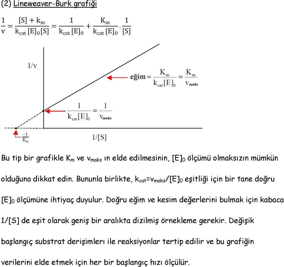 Bununla birlikte, k cat =v maks /[E] 0 eşitliği için bir tane doğru [E] 0 ölçümüne ihtiyaç duyulur.