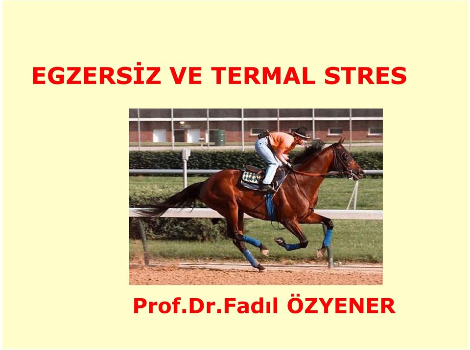 STRES Prof.