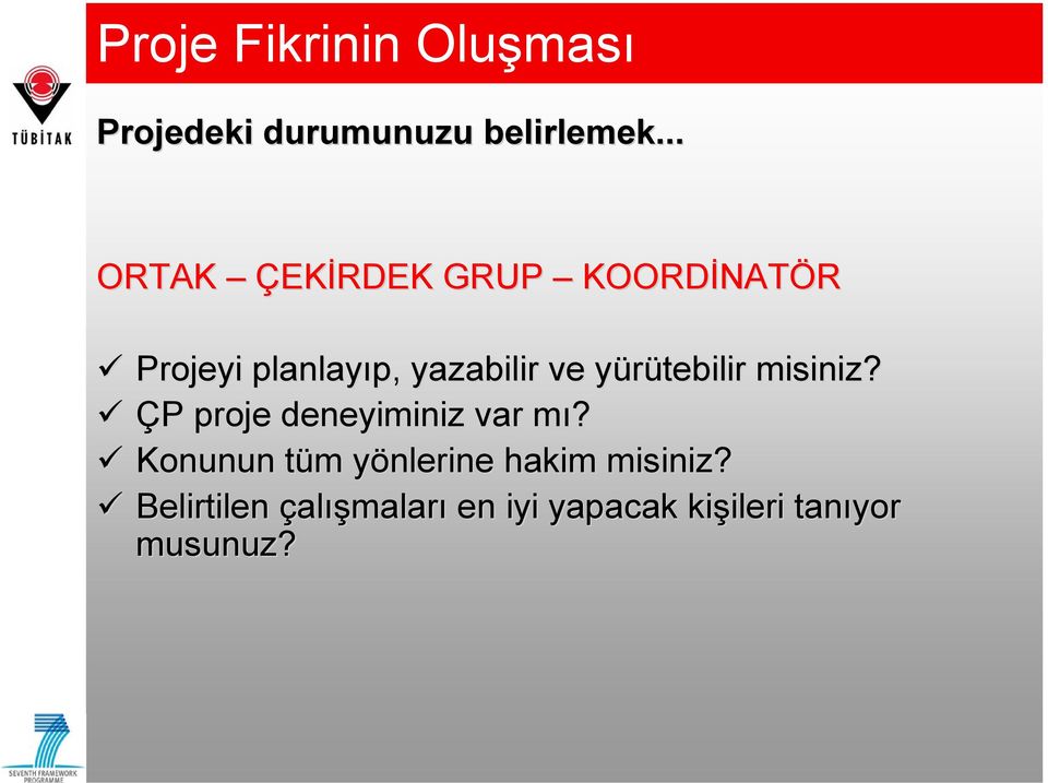 yürütebilir y misiniz? ÇP P proje deneyiminiz var mı?