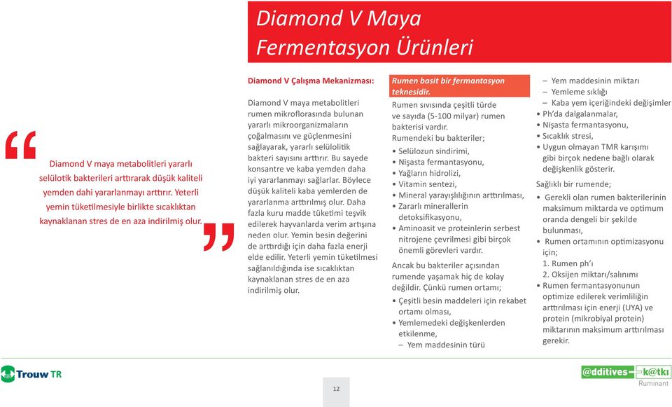 Diamond V Çalışma Mekanizması: Diamond V maya metabolitleri rumen mikroflorasında bulunan yararlı mikroorganizmaların çoğalmasını ve güçlenmesini sağlayarak, yararlı selüloli k bakteri sayısını ar