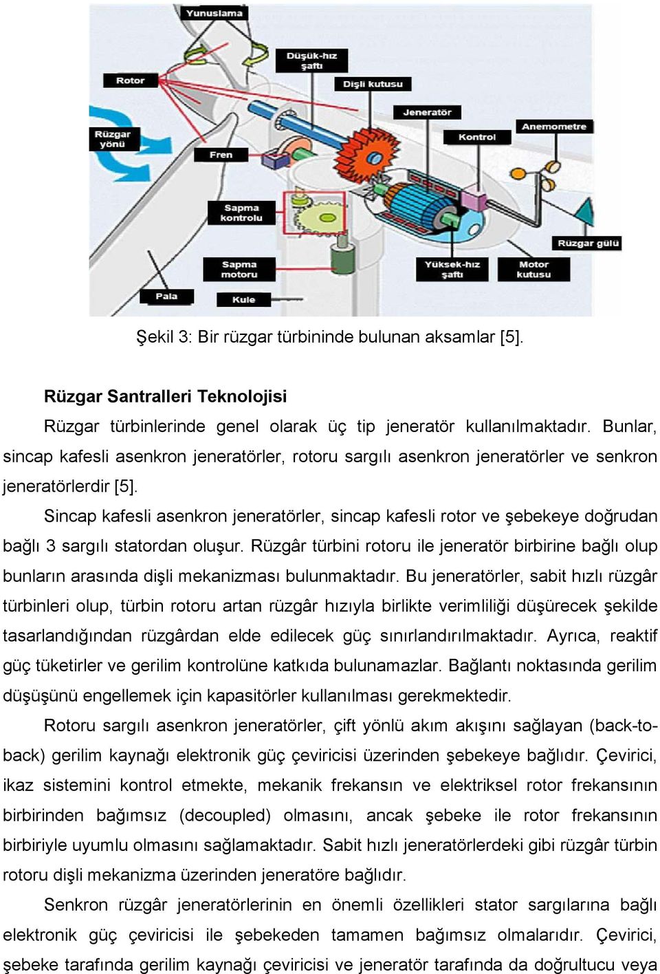 Sincap kafesli asenkron jeneratörler, sincap kafesli rotor ve şebekeye doğrudan bağlı 3 sargılı statordan oluşur.