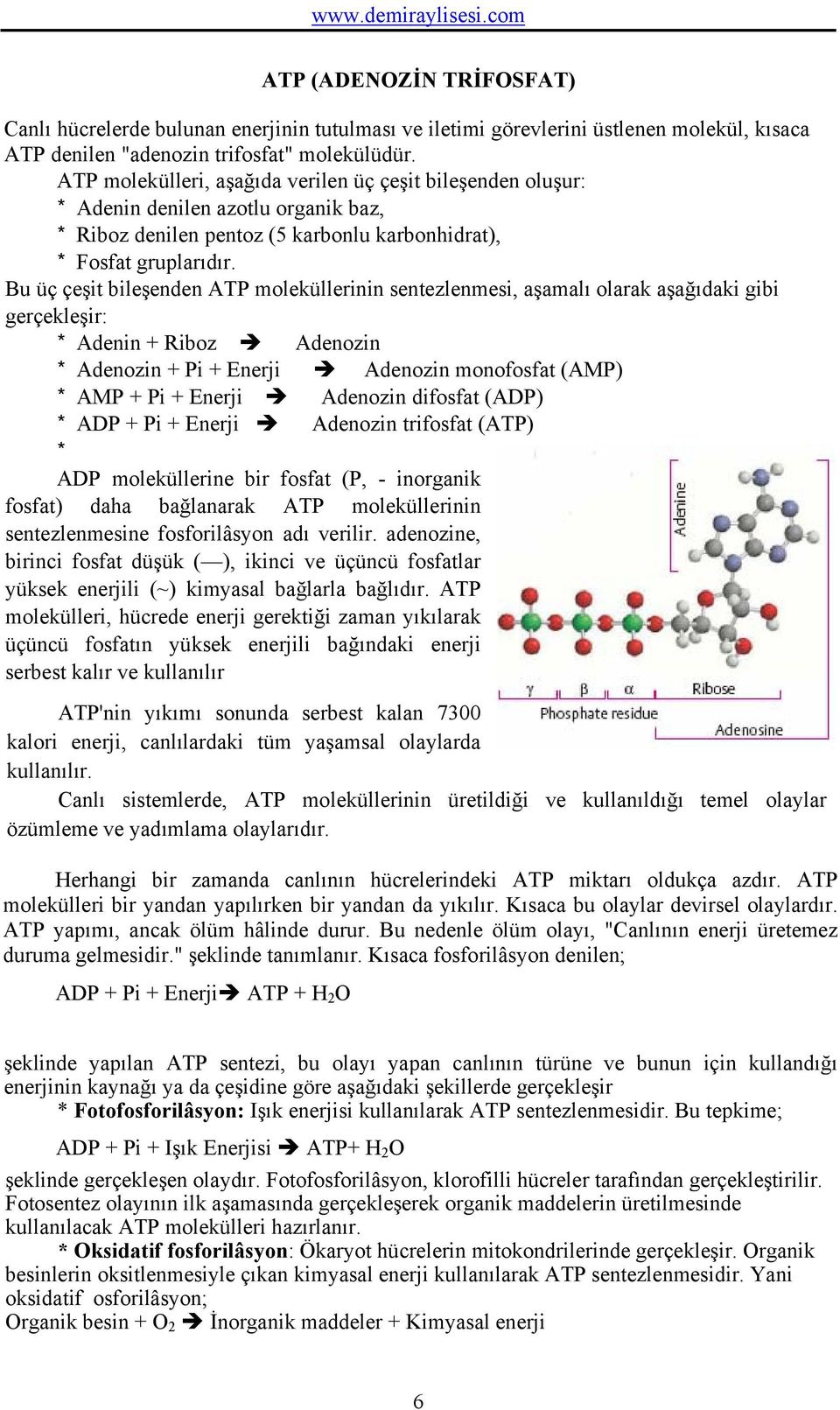 Bu üç çeşit bileşenden ATP moleküllerinin sentezlenmesi, aşamalı olarak aşağıdaki gibi gerçekleşir: * Adenin + Riboz Adenozin * Adenozin + Pi + Enerji Adenozin monofosfat (AMP) * AMP + Pi + Enerji