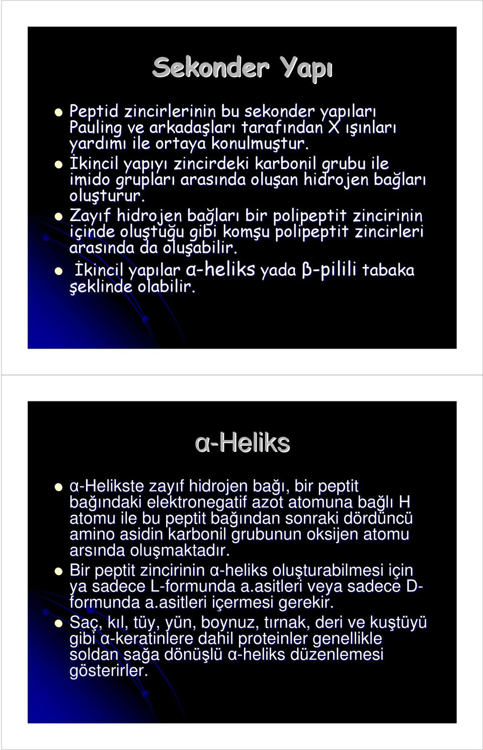 Zayıf f hidrojen bağlar ları bir polipeptit zincirinin içinde inde oluştu tuğu u gibi komşu polipeptit zincirleri arasında da oluşabilir.