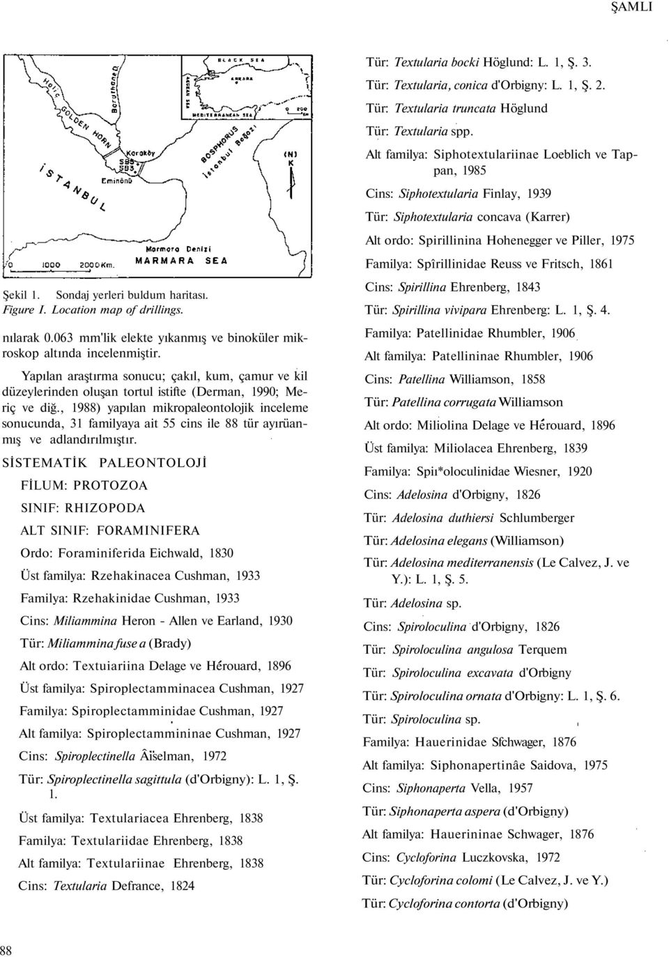 , 1988) yapılan mikropaleontolojik inceleme sonucunda, 31 familyaya ait 55 cins ile 88 tür ayırüanmış ve adlandırılmıştır.
