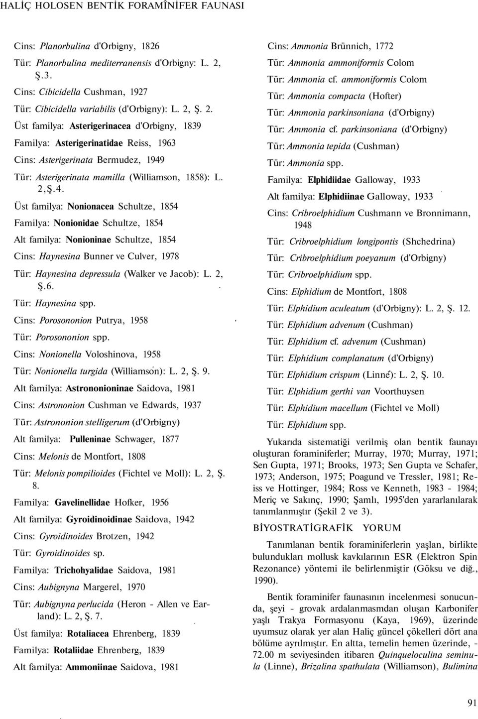 Ş. 2. Üst familya: Asterigerinacea d'orbigny, 1839 Familya: Asterigerinatidae Reiss, 1963 Cins: Asterigerinata Bermudez, 1949