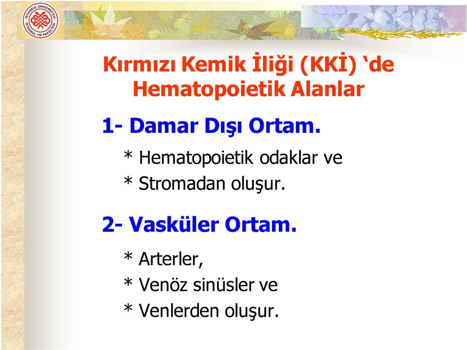 * Hematopoietik odaklar ve * Stromadan oluşur.