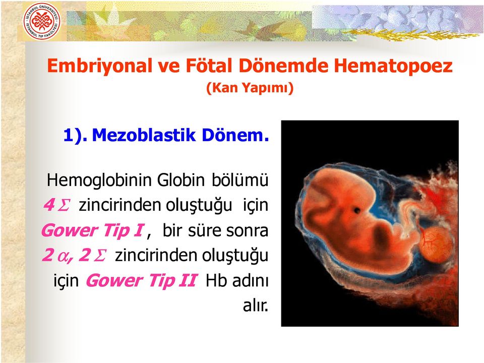 Hemoglobinin Globin bölümü 4 Σ zincirinden oluştuğu