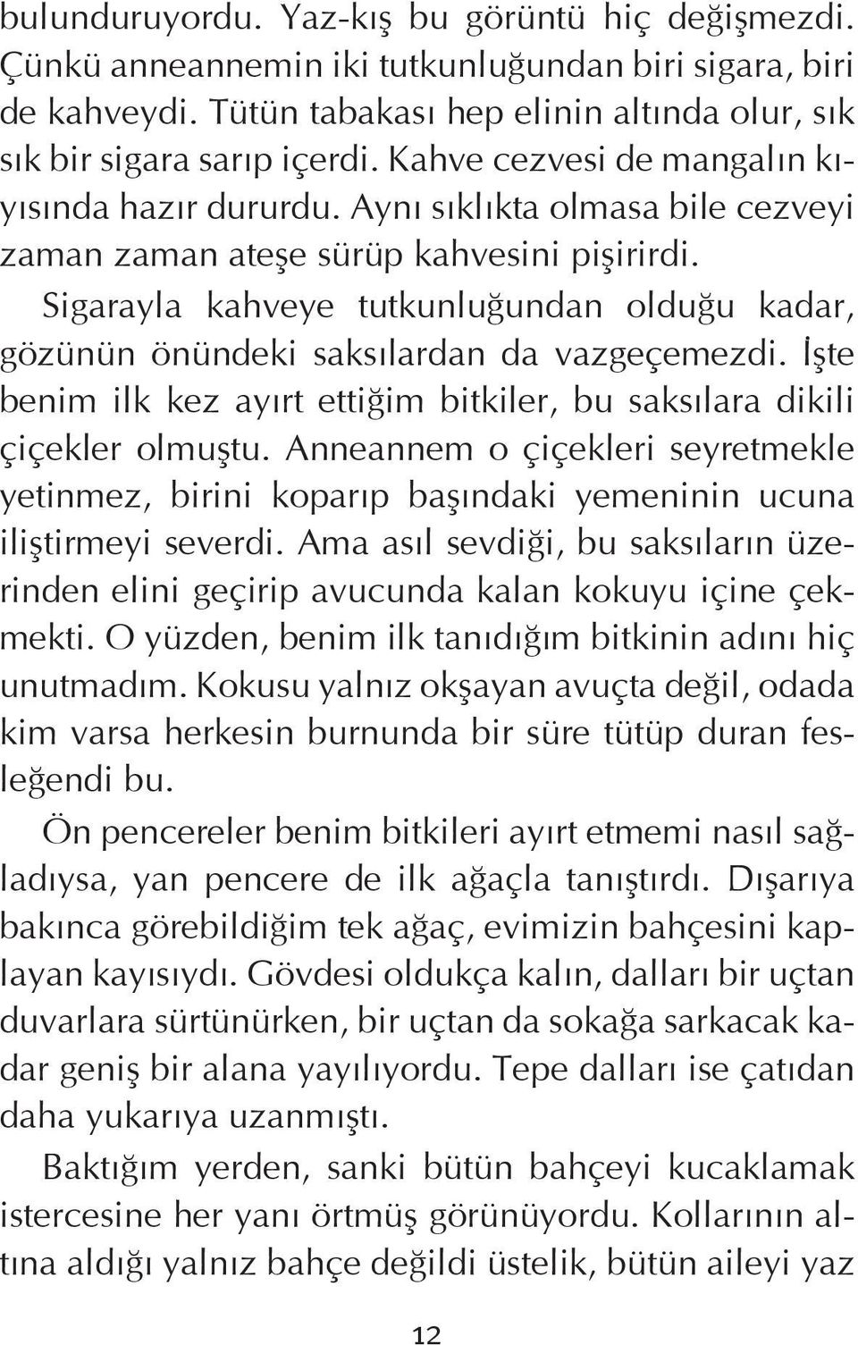 Sigarayla kahveye tutkunluğundan olduğu kadar, gözünün önündeki saksılardan da vazgeçemezdi. İşte benim ilk kez ayırt ettiğim bitkiler, bu saksılara dikili çiçekler olmuştu.