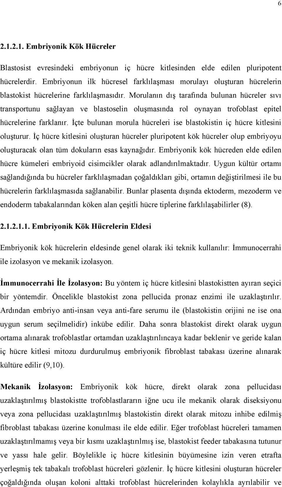 Morulanın dış tarafında bulunan hücreler sıvı transportunu sağlayan ve blastoselin oluşmasında rol oynayan trofoblast epitel hücrelerine farklanır.